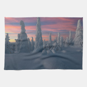 Eis und Schnee   Schneebedeckte Bäume, Lappland, F Geschirrtuch