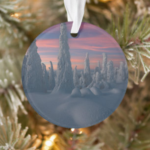 Eis und Schnee Schneebedeckte Bäume, Lappland, F Ornament