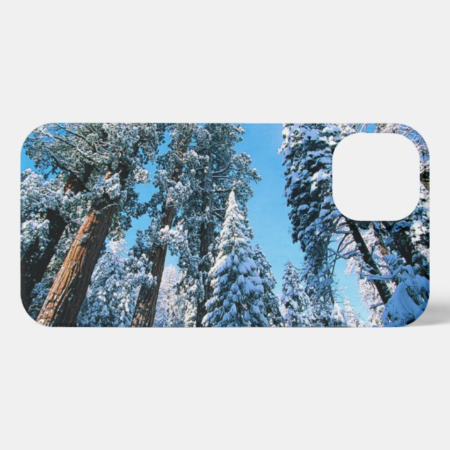 Eis und Schnee | Sequoia National Park, Kalifornie iPhone Hülle (Rückseite (Horizontal))