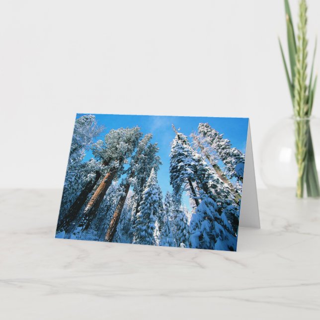 Eis und Schnee | Sequoia National Park, Kalifornie Karte (Vorderseite)