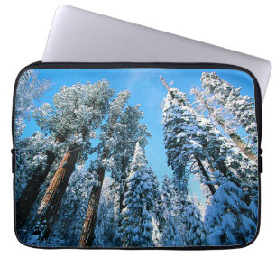 Eis und Schnee   Sequoia National Park, Kalifornie Laptopschutzhülle