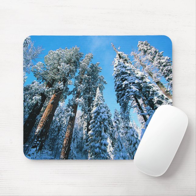 Eis und Schnee | Sequoia National Park, Kalifornie Mousepad (Mit Mouse)