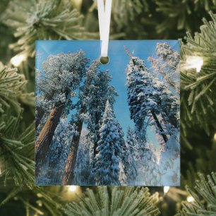 Eis und Schnee   Sequoia National Park, Kalifornie Ornament Aus Glas