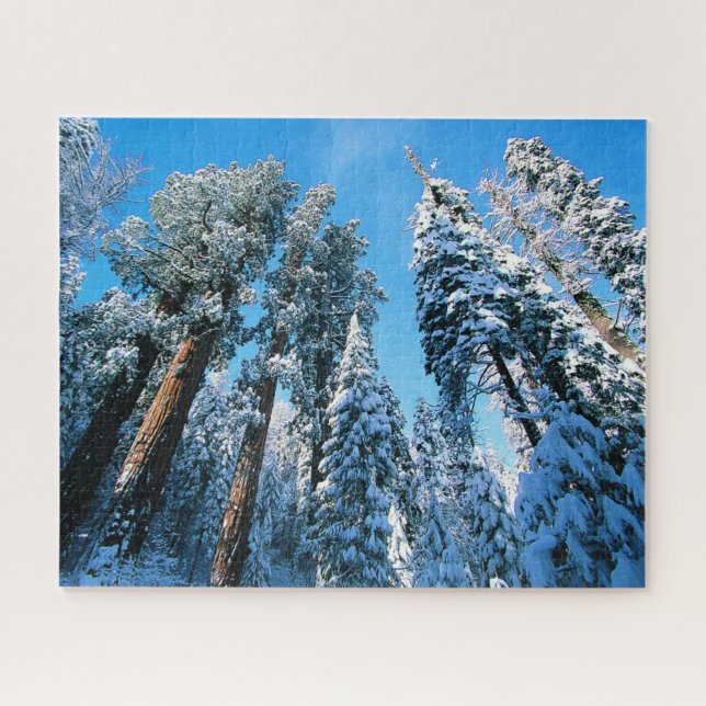 Eis und Schnee | Sequoia National Park, Kalifornie Puzzle (Horizontal)
