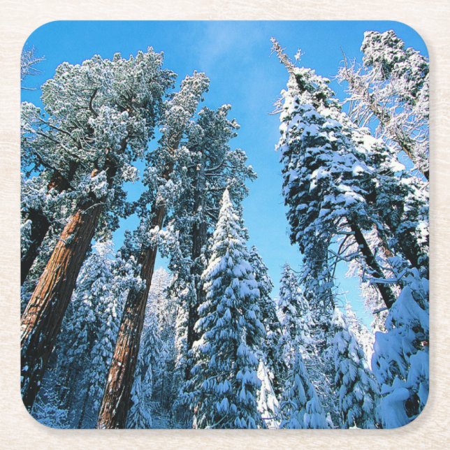 Eis und Schnee | Sequoia National Park, Kalifornie Rechteckiger Pappuntersetzer (Vorderseite)