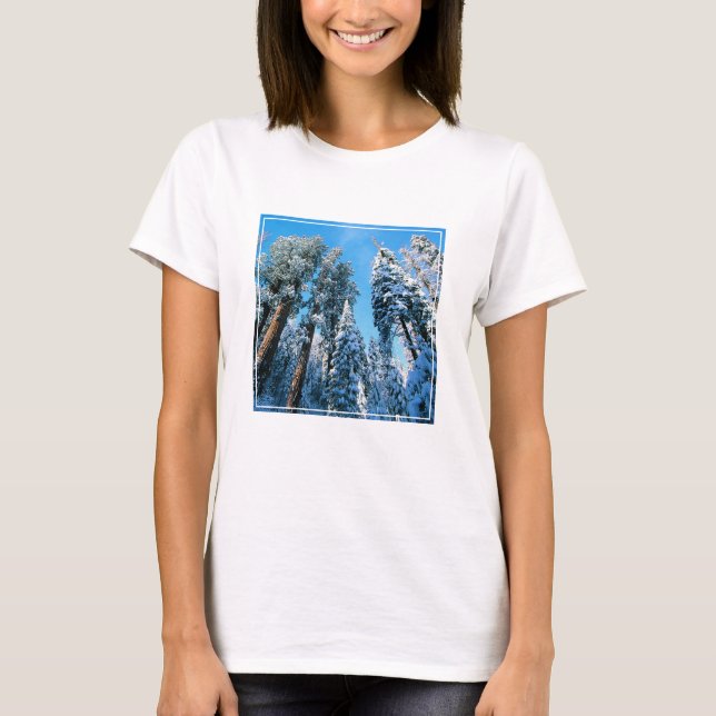 Eis und Schnee | Sequoia National Park, Kalifornie T-Shirt (Vorderseite)
