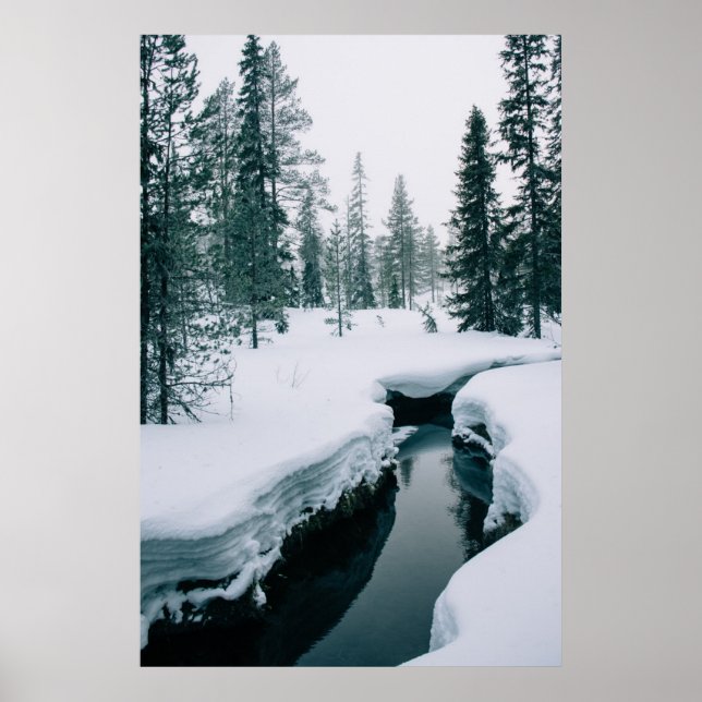 Eis und Schnee | Streit in einer schneebedeckten W Poster (Vorne)