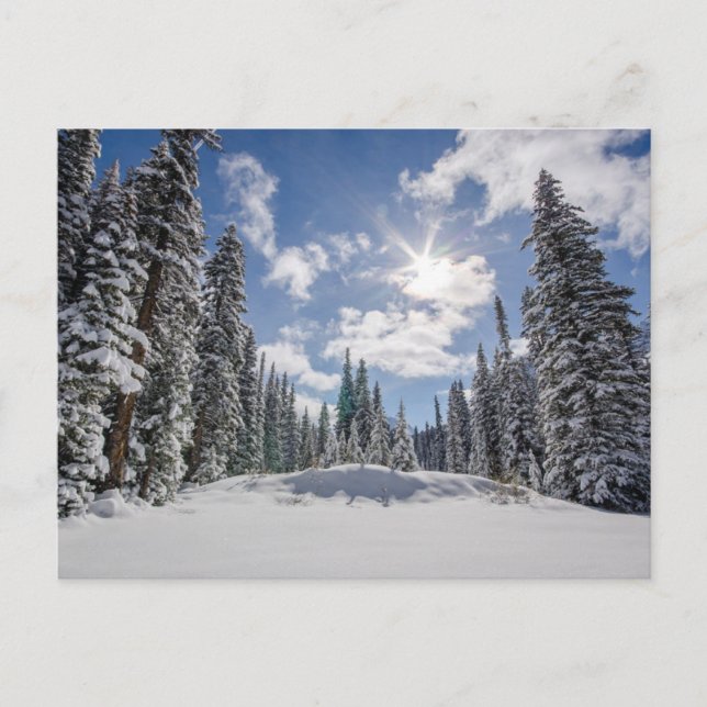 Eis und Schnee | Sunrise Winter Snow Alberta, Kana Postkarte (Vorderseite)