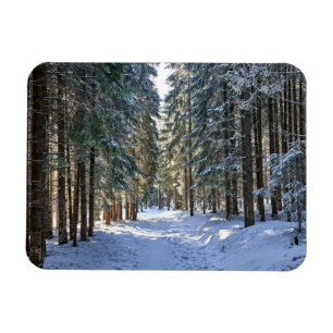 Eis und Schnee Tatra Mountains, Polen Magnet