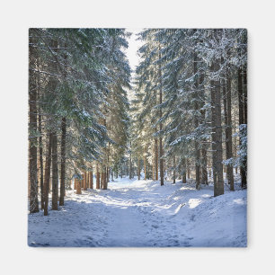 Eis und Schnee   Tatra Mountains, Polen Magnet
