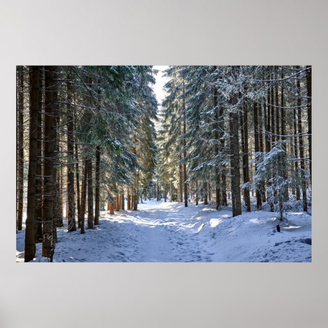 Eis und Schnee | Tatra Mountains, Polen Poster (Vorne)