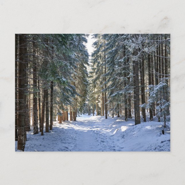 Eis und Schnee | Tatra Mountains, Polen Postkarte (Vorderseite)