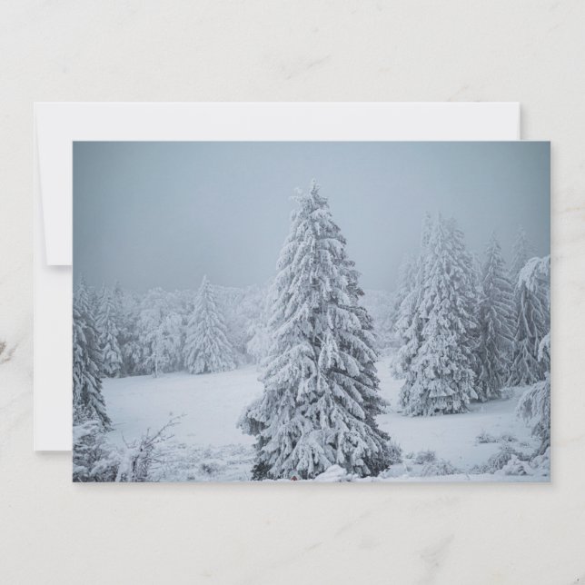 Eis und Schnee | Wald, Schweizer Alpen Dankeskarte (Vorderseite)