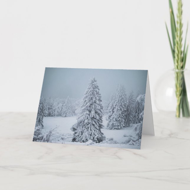 Eis und Schnee | Wald, Schweizer Alpen Karte (Vorderseite)