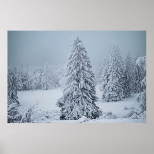 Eis und Schnee   Wald, Schweizer Alpen Poster
