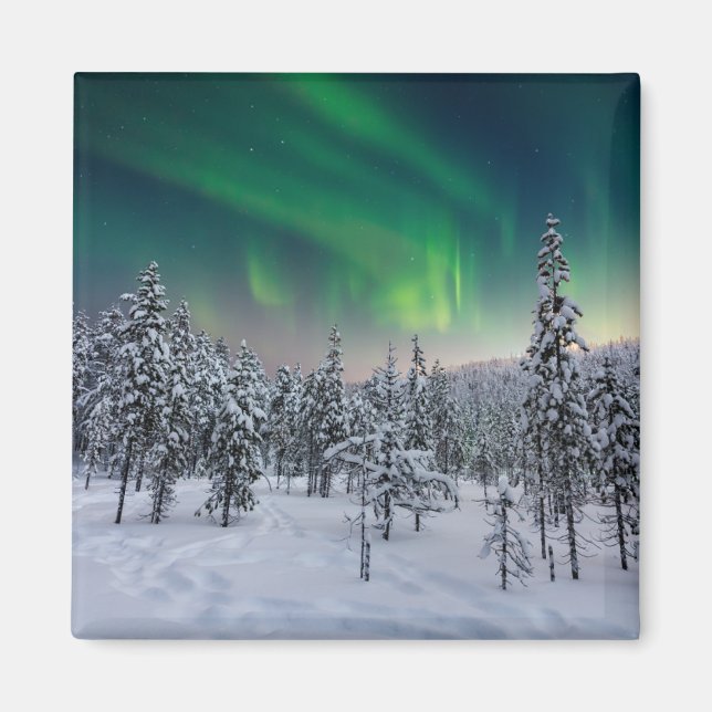 Eis und Schnee | Winterlandschaft, Finnland Magnet (Vorne)