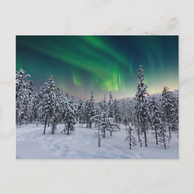 Eis und Schnee | Winterlandschaft, Finnland Postkarte (Vorderseite)