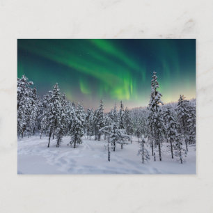 Eis und Schnee   Winterlandschaft, Finnland Postkarte
