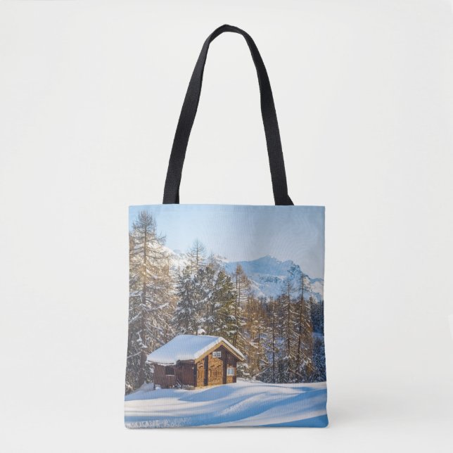 Eis und Schnee | Winterlogmelkabine Schweizer Alpe (Vorderseite)