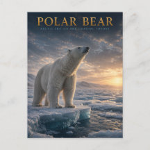 Eisbär Arktis Meereis TIERE