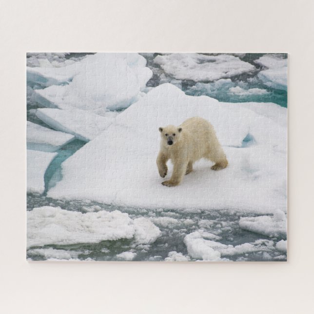 Eisbär auf dem Arktischen Meer Puzzle (Horizontal)