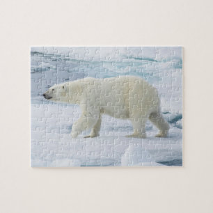 Eisbär beim Gehen, Norwegen Puzzle
