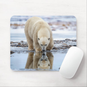 Eisbär betrachtet sein Spiegelbild Mousepad