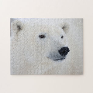 Eisbär Churchill Puzzle