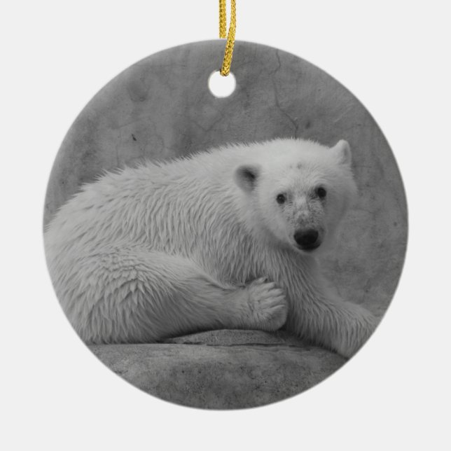 Eisbär CUB verzieren Keramikornament (Vorne)