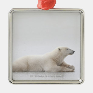 Eisbär, der auf einen See des Eises legt Ornament Aus Metall