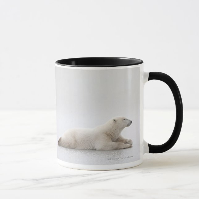 Eisbär, der auf einen See des Eises legt Tasse (Rechts)