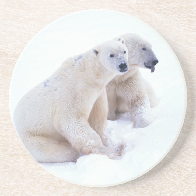 Eisbär-Duo Untersetzer (Vorne)
