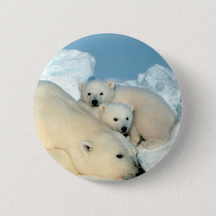 Eisbär-Familie Button