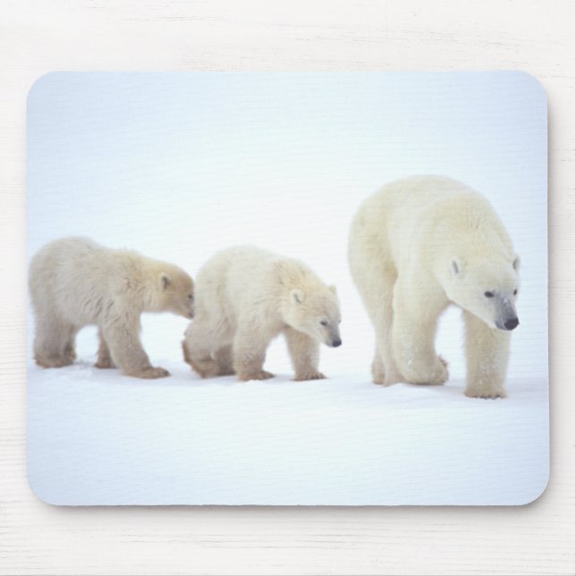 Eisbär-Familie Mousepad (Vorne)