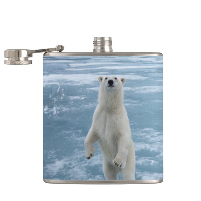 Eisbär Flachmann (Geöffnet)