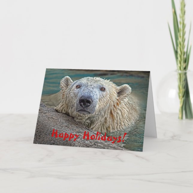 Eisbär frohe Feiertage! Feiertagskarte (Vorderseite)
