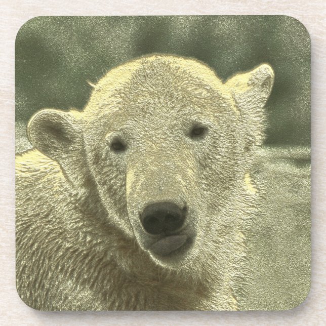 Eisbär Getränkeuntersetzer (Vorderseite)
