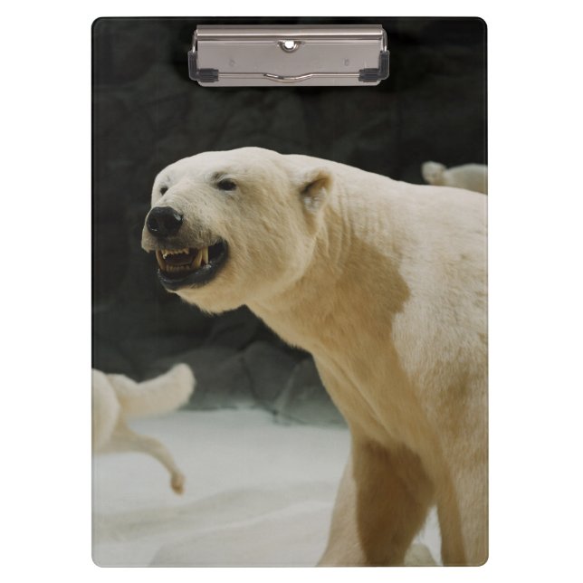 Eisbär-Grinsen Klemmbrett (Vorderseite)