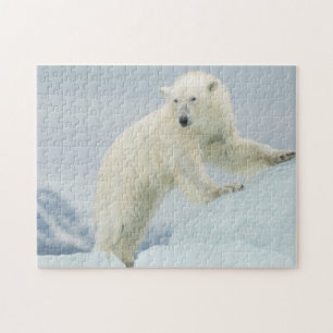 Eisbär im Sommer Puzzle