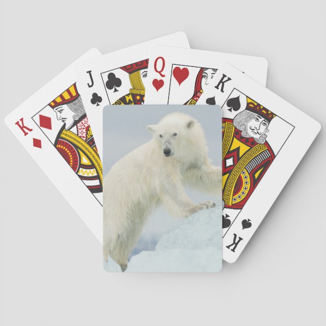 Eisbär im Sommer Spielkarten (Rückseite)