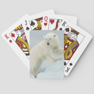 Eisbär im Sommer Spielkarten