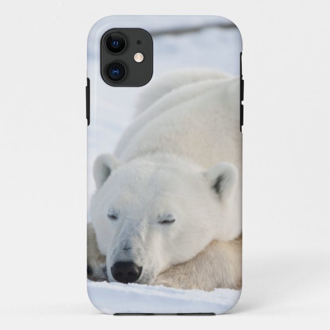 Eisbär im Winter Case-Mate iPhone Hülle (Rückseite)