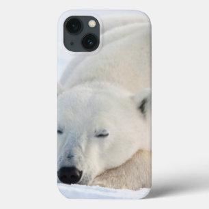 Eisbär im Winter Case-Mate iPhone Hülle