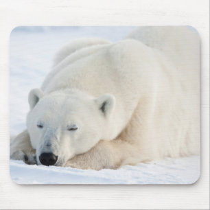 Eisbär im Winter Mousepad