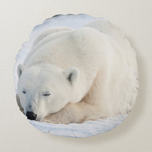 Eisbär im Winter Rundes Kissen (Vorderseite)