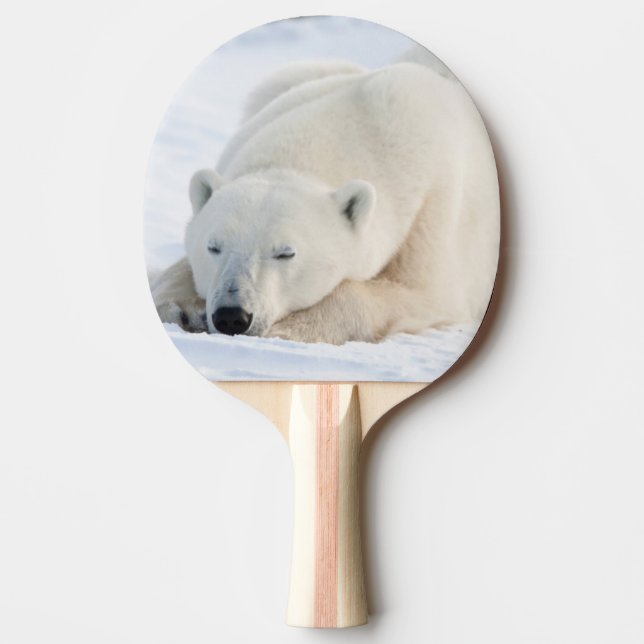 Eisbär im Winter Tischtennis Schläger (Vorderseite)