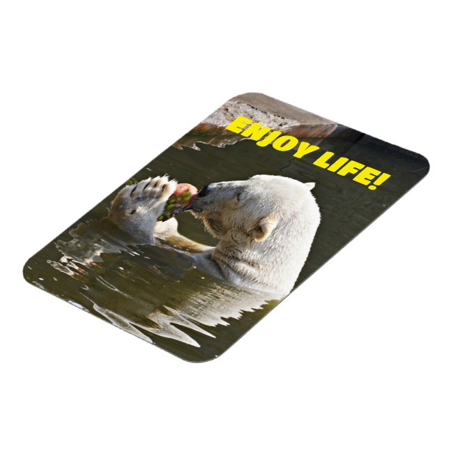 Eisbär isst Obst im Wassermagnet Magnet (Linke Seite)