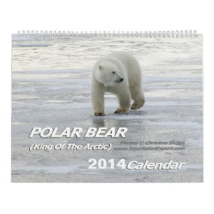 EISBÄR König des arktischen Kalenders 2014 2-Pg. Kalender