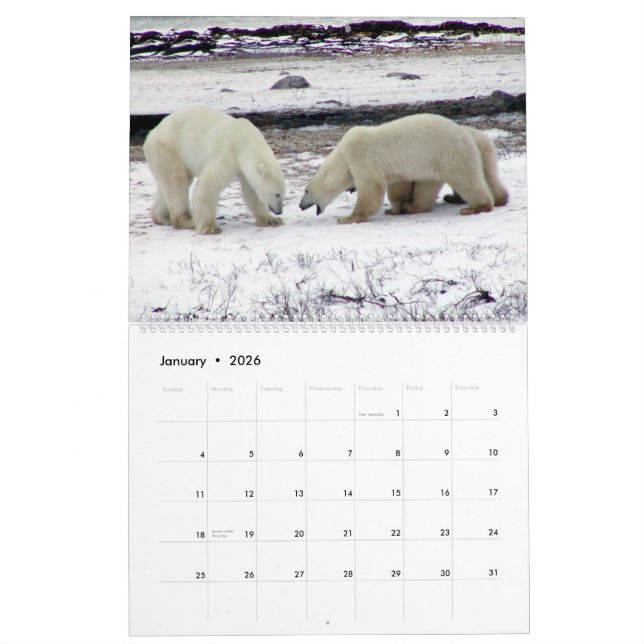 EISBÄR König des arktischen Kalenders 2014 2-Pg. Kalender (Jan 2026)