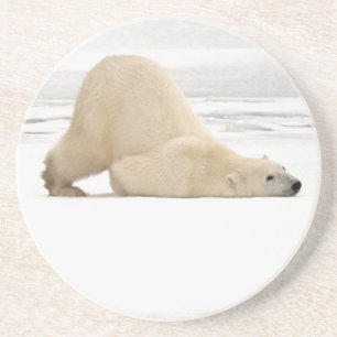 Eisbär kratzt sich auf gefrorener Tundra Getränkeuntersetzer